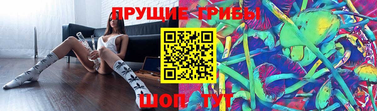 Галлюциногенные грибы прущие грибы  Вход с VPN  купить закладку  Ногинск 
