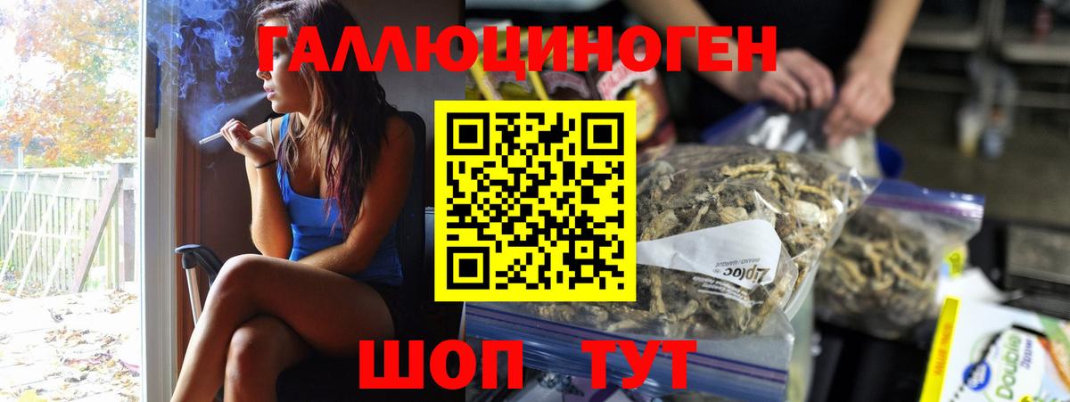 Псилоцибиновые грибы GOLDEN TEACHER Ногинск